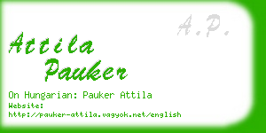 attila pauker business card